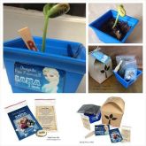 Kit Jardinagem com Semente Personalizada - Frozen